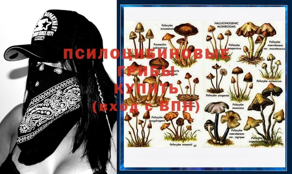 дурь Абинск