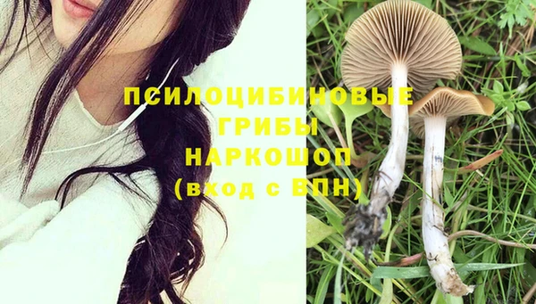 дурь Абинск